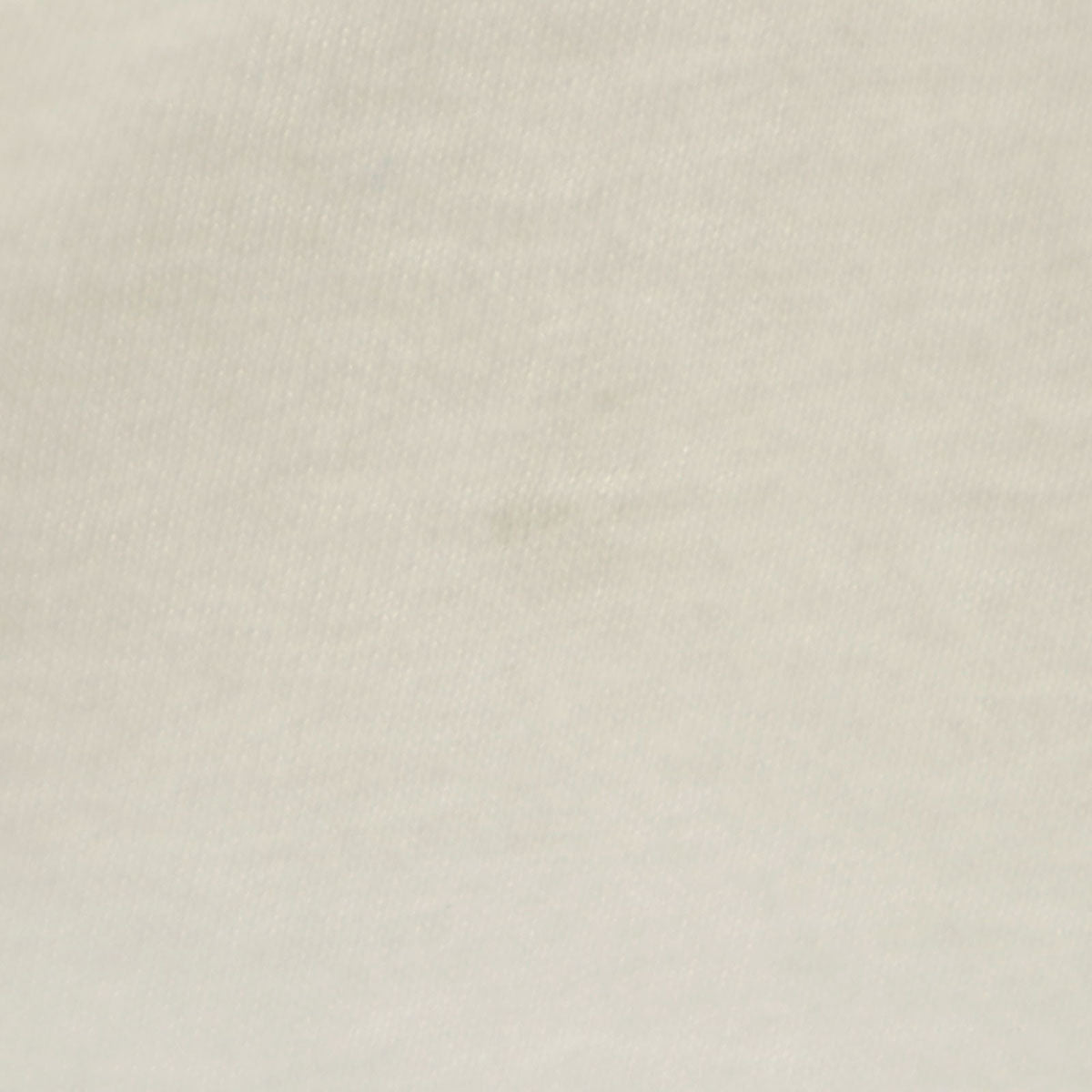 Hanes ヘインズ BOMBA SURFSIDE SHACK 半袖 Tシャツ XXL ホワイト ビッグサイズ メンズ