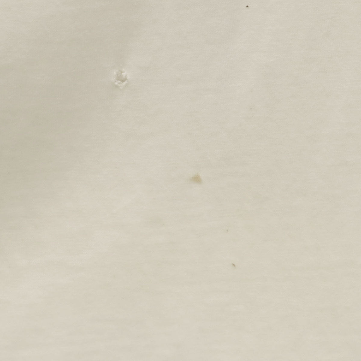 Hanes ヘインズ 90s USA製 オールド 半袖 Tシャツ XL 白 BEEFY-T シングルステッチ メンズ