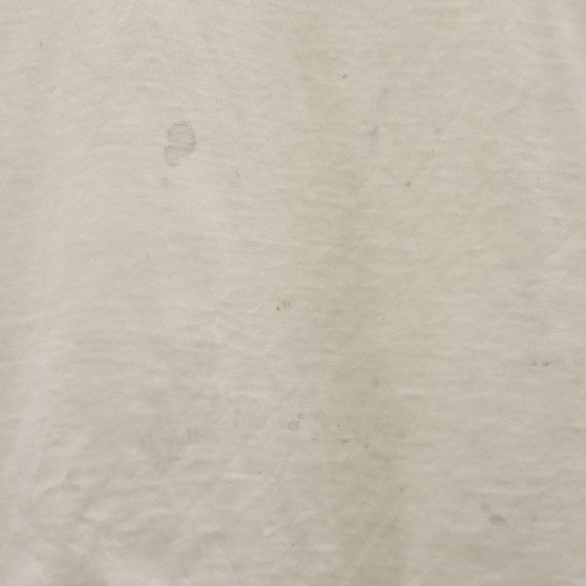 FRUIT OF THE LOOM フルーツオブザルーム 90s USA製 オールド 半袖 Tシャツ L グレー BEST シングルステッチ メンズ