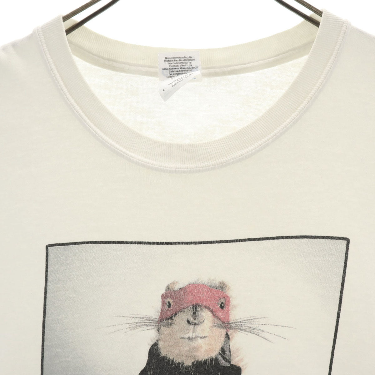 GILDAN ギルダン 90s オールド 半袖 Tシャツ L 白 メンズ