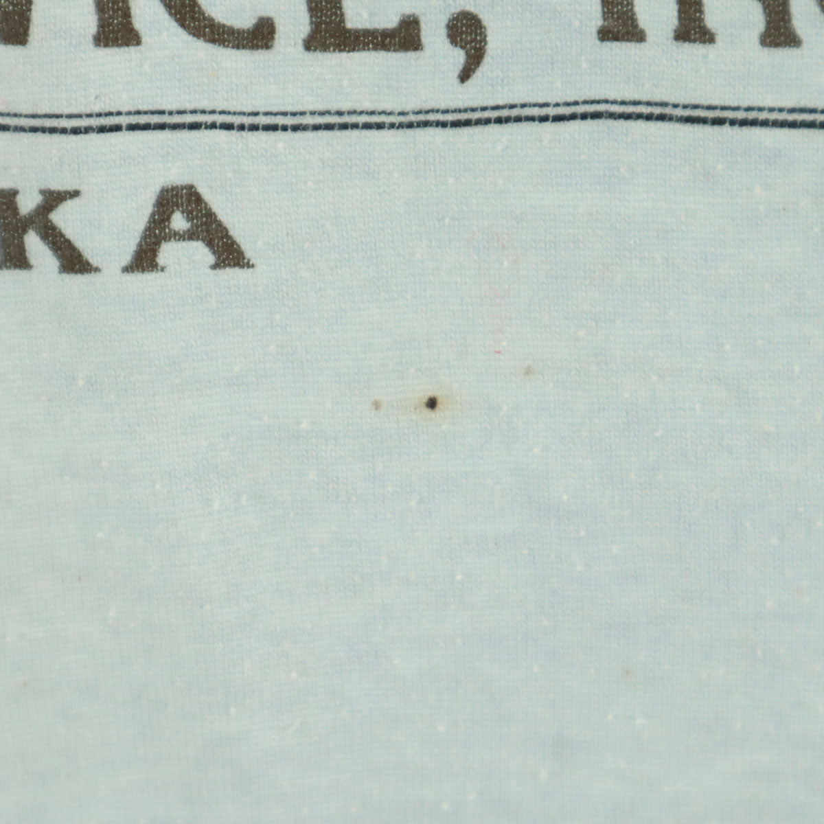 JERZEES ジャージーズ 80s ラッセル USA製 ヴィンテージ 半袖 Tシャツ L ブルー系 RUSSELL メンズ