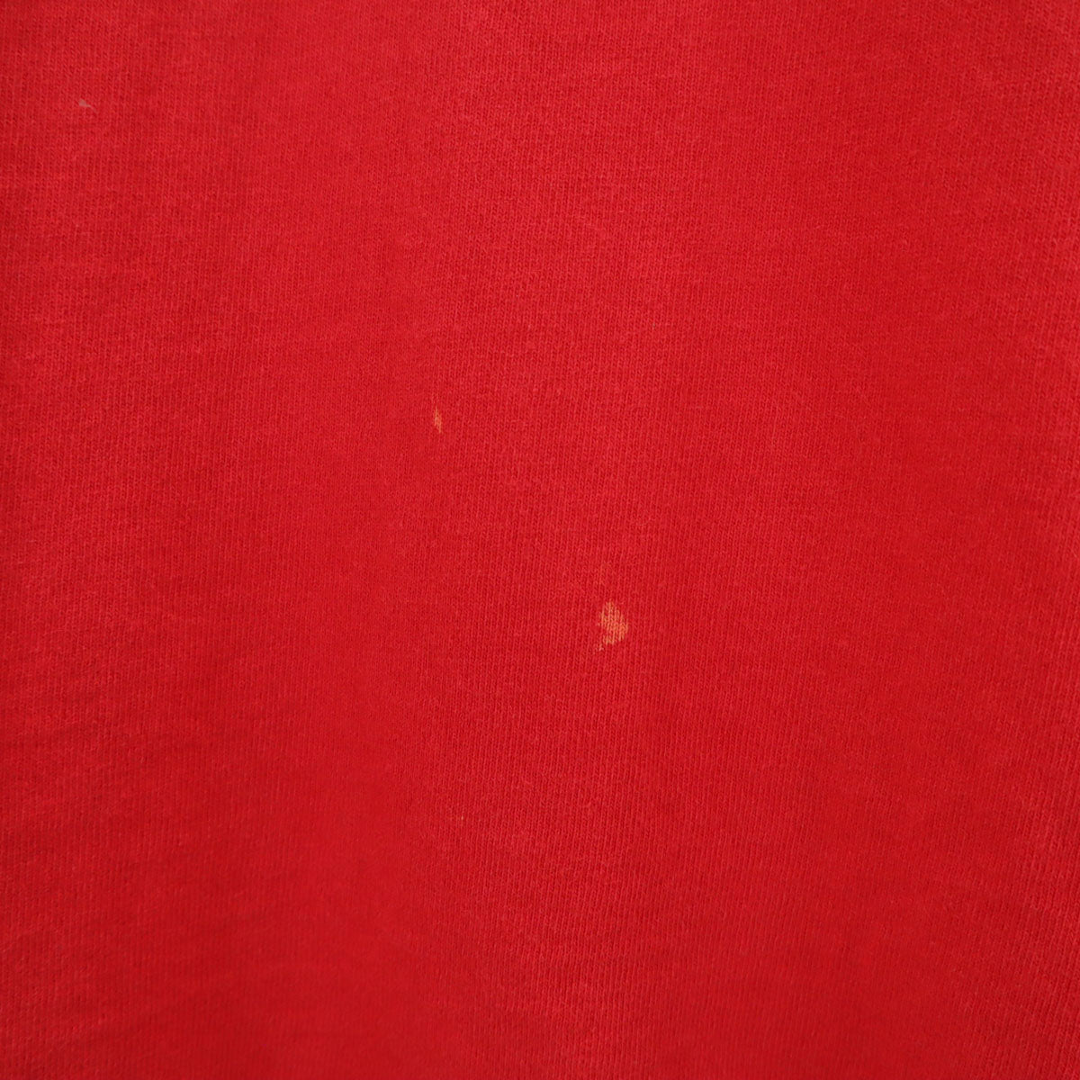 FRUIT OF THE LOOM フルーツオブザルーム 90s USA製 オールド パンサー プリント 半袖 Tシャツ XXL レッド シングルステッチ ビッグサイズ メンズ