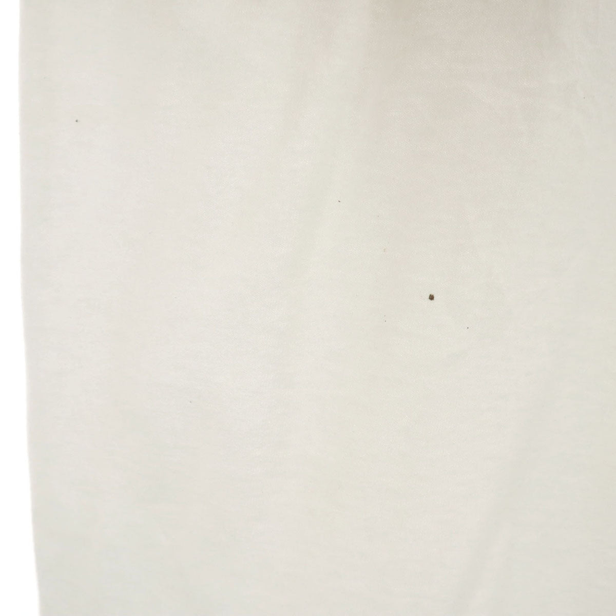 FRUIT OF THE LOOM BEST フルーツオブザルーム ベスト 90s USA製 オールド 半袖 Tシャツ L ホワイト シングルステッチ メンズ