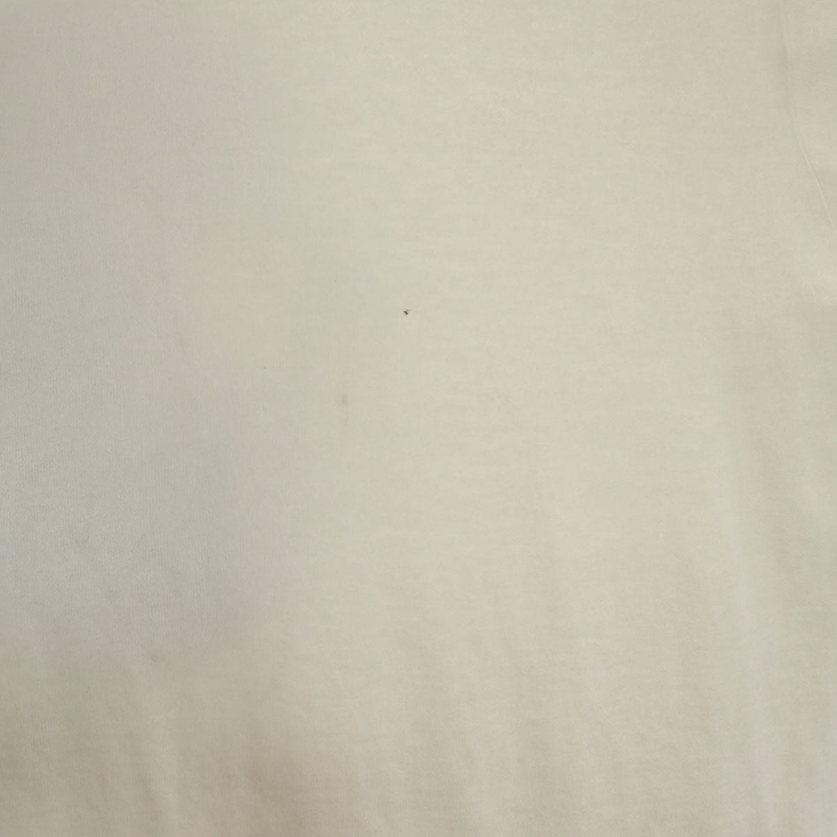 FRUIT OF THE LOOM フルーツオブザルーム 90s カナダ製 オールド 半袖 Tシャツ XL オフホワイト シングルステッチ メンズ