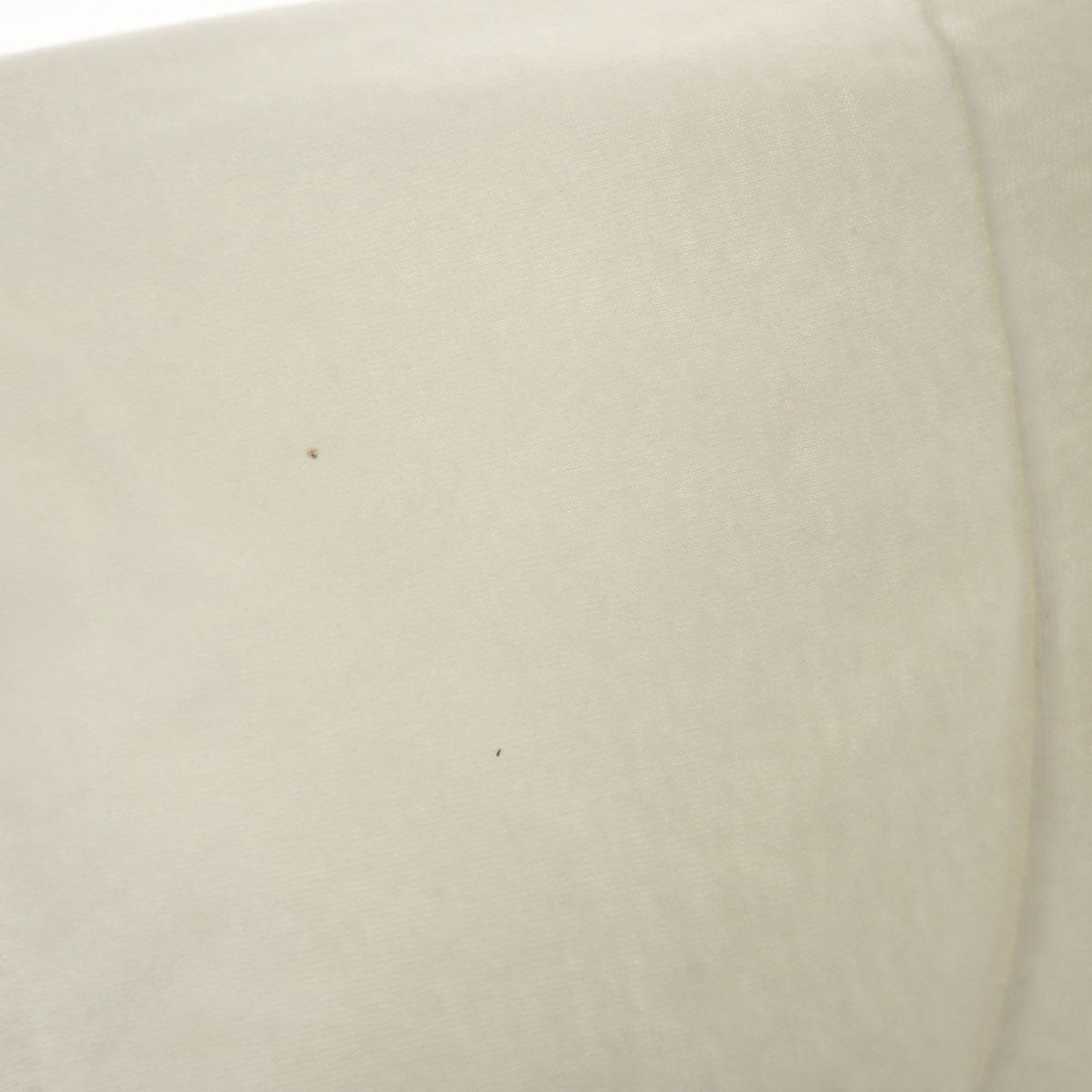 FRUIT OF THE LOOM フルーツオブザルーム 90s カナダ製 オールド 半袖 Tシャツ XL オフホワイト シングルステッチ メンズ