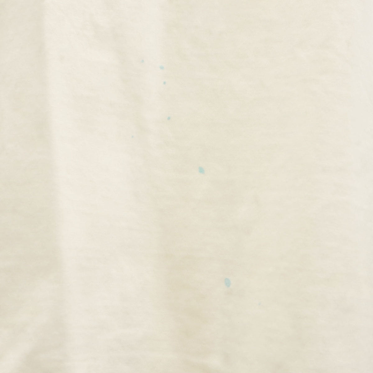 90s オールド CELEBRATE 半袖 Tシャツ ホワイト シングルステッチ メンズ