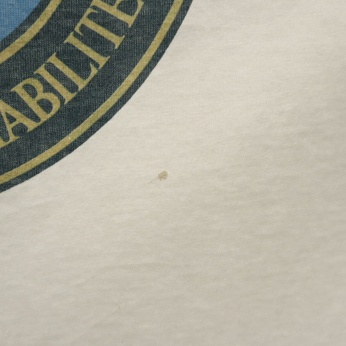 90s オールド イーグル プリント 半袖 Tシャツ オフホワイト シングルステッチ メンズ