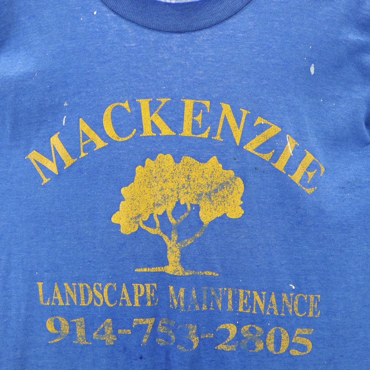 FRUIT OF THE LOOM BEST フルーツオブザルーム ベスト 90s オールド 半袖 Tシャツ ブルー シングルステッチ メンズ