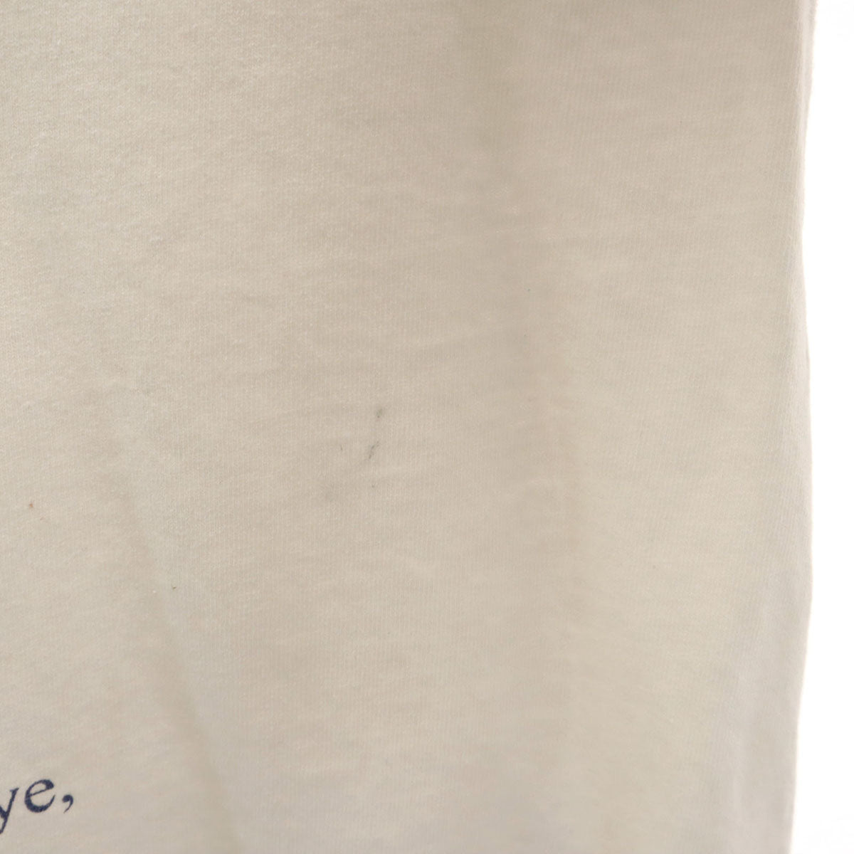 anvil アンヴィル 90s オールド 半袖 Tシャツ XL オフホワイト シングルステッチ メンズ