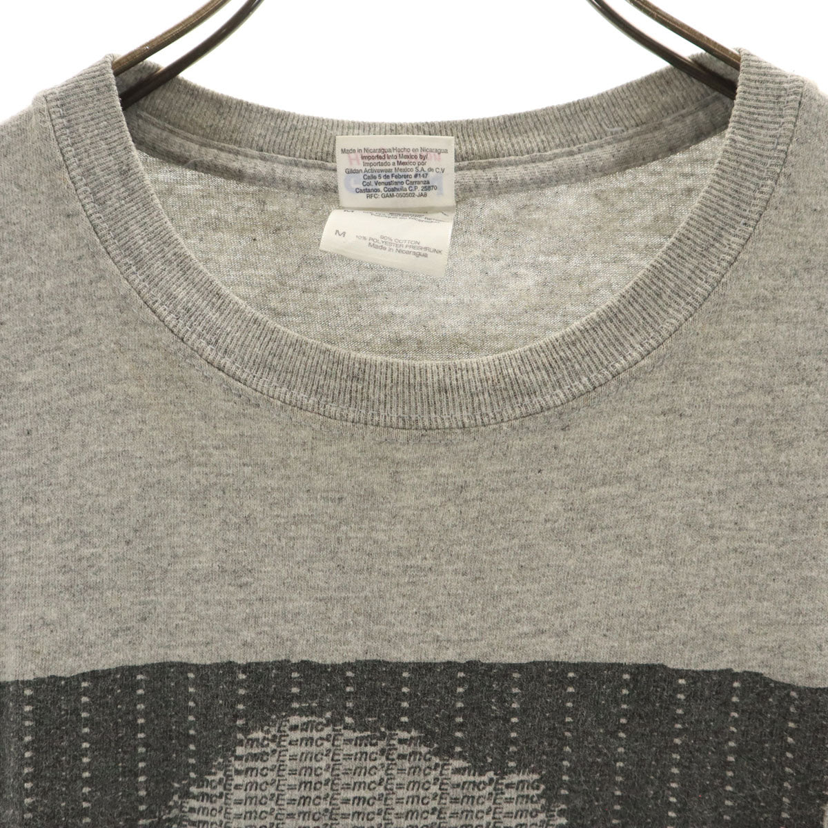 GILDAN ギルダン 90s オールド アルベルト アインシュタイン ノースリーブ Tシャツ M グレー メンズ