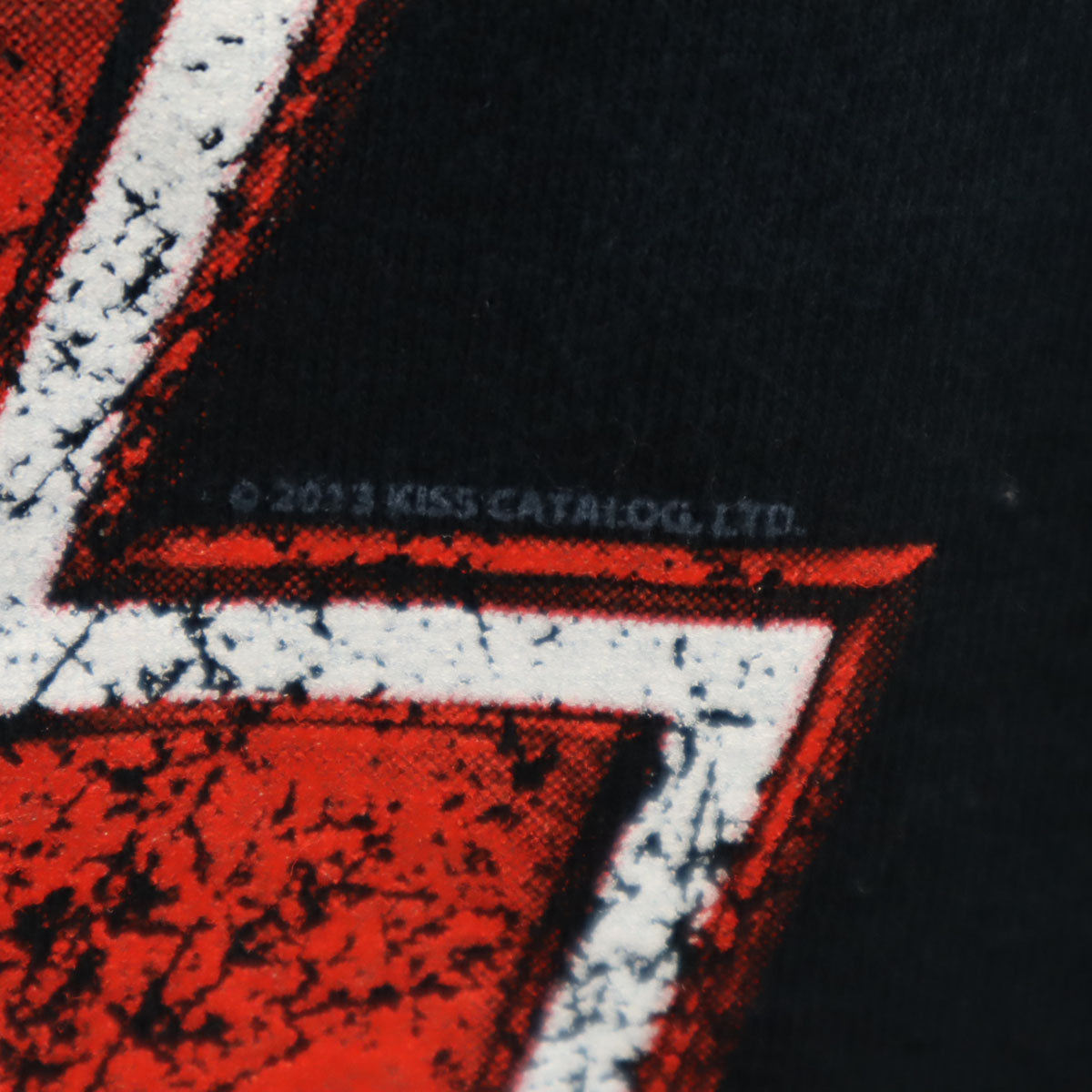 GILDAN ギルダン 2013年 日本ツアー キッス 半袖 Tシャツ L ブラック ハードロックバンド KISS メンズ