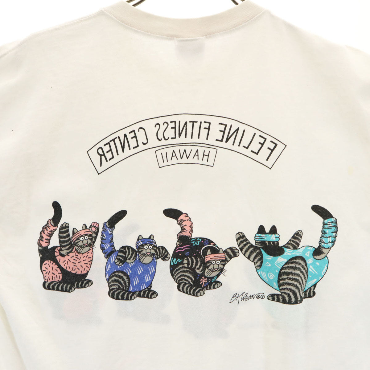 Crazy Shirt クレイジーシャツ 90s USA製 オールド 猫 半袖 Tシャツ M ホワイト系 メンズ