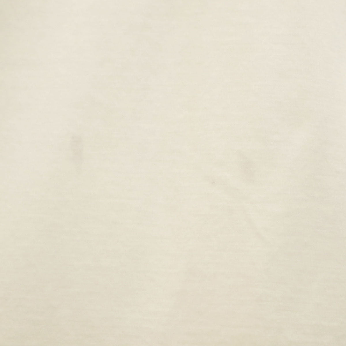 blurhms ブラームス 半袖 Tシャツ アイボリー 無地 メンズ