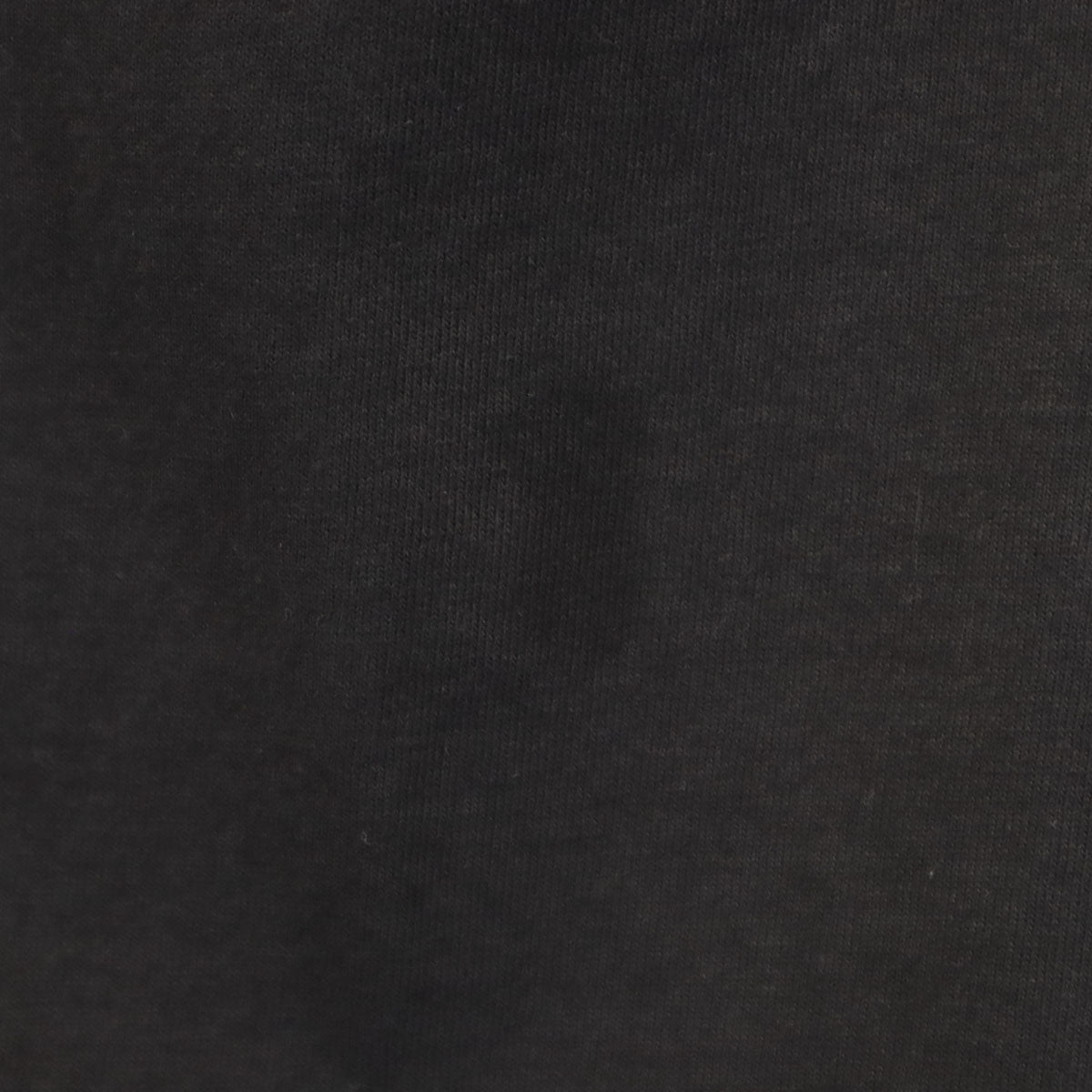 POWER PRO by ONEITA パワープロバイオニータ サザンオールスターズ 2000年ツアー 伊豆だらけのローラ 半袖 Tシャツ L ブラック 桑田佳祐 メンズ