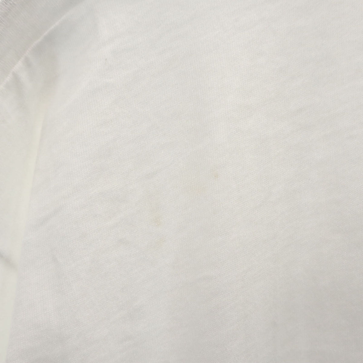 FRUIT OF THE LOOM BEST フルーツオブザルーム ベスト 90s USA製 オールド 半袖 Tシャツ L ホワイト シングルステッチ メンズ