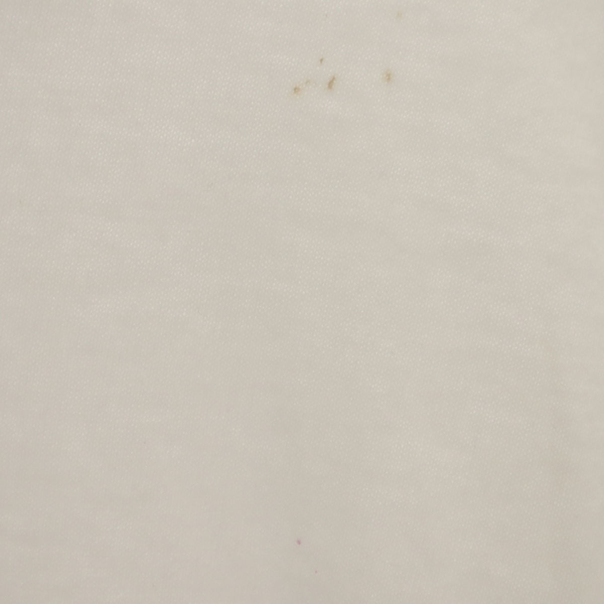 BROCKUM WORLDWIDE ブロッカム ワールドワイド 90s USA製 オールド TMN 小室哲哉 プリント 半袖 Tシャツ L ホワイト メンズ