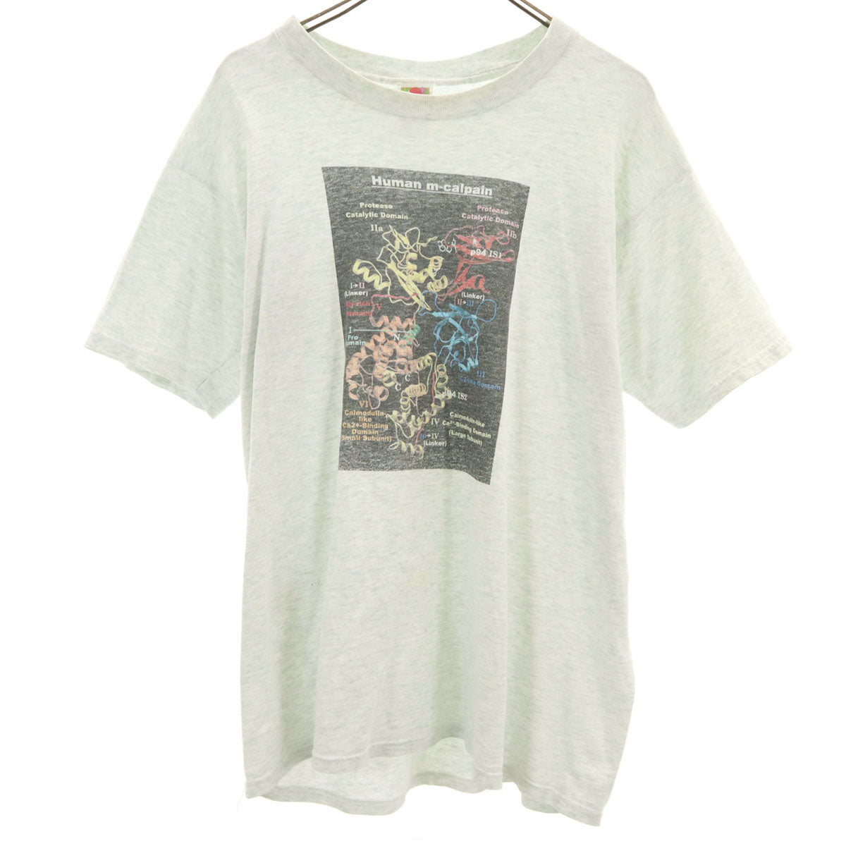 FRUIT OF THE LOOM フルーツオブザルーム オールド ヒトm-カルパイン 半袖 Tシャツ L グレー メンズ