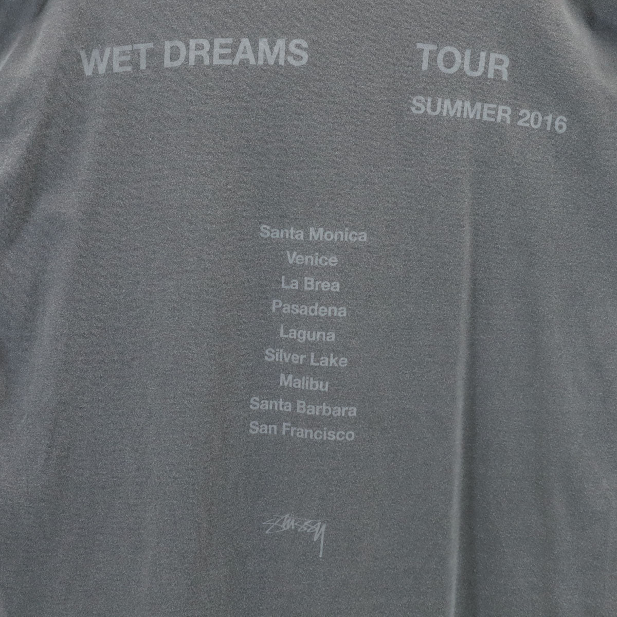 STUSSY ステューシー 半袖 Tシャツ L グレー メンズ