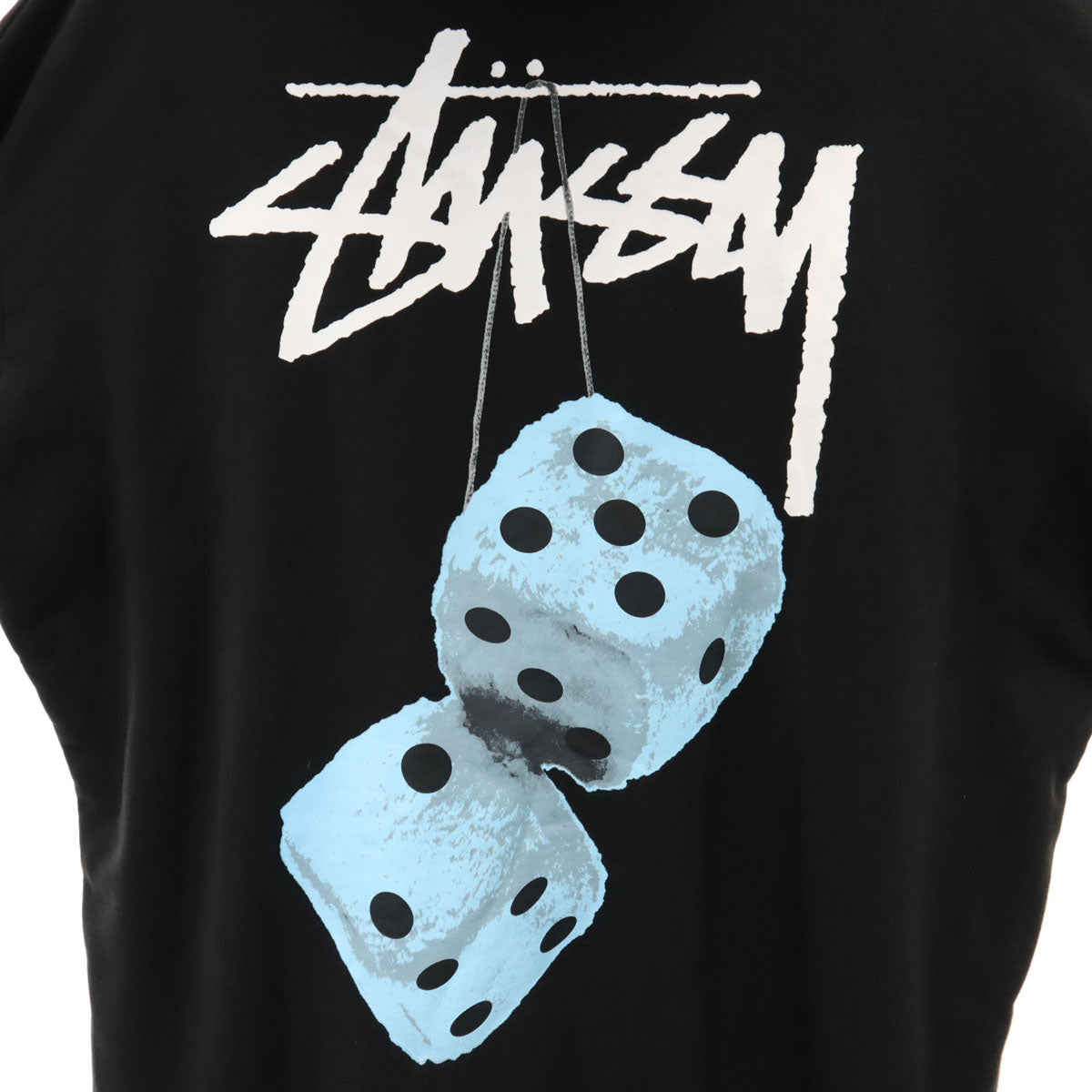 STUSSY ステューシー バックロゴ 長袖 スウェットパーカー LL ブラック 裏起毛 メンズ