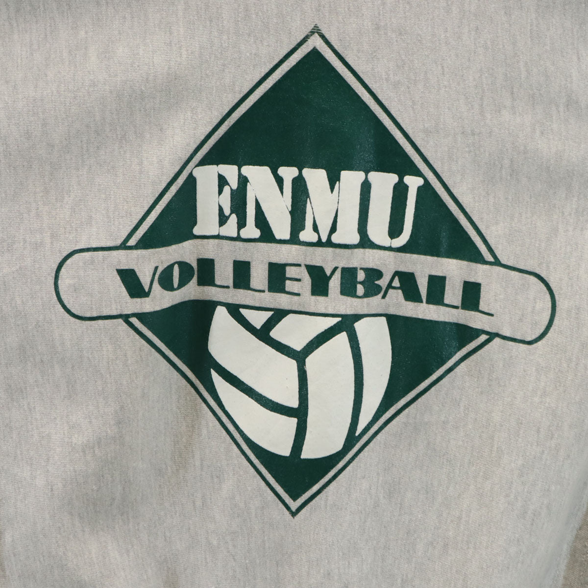 Champion チャンピオン 90s USA製 オールド 刺繍タグ バレーボール プリント 長袖 リバースウィーブ スウェット トレーナー L グレー メンズ