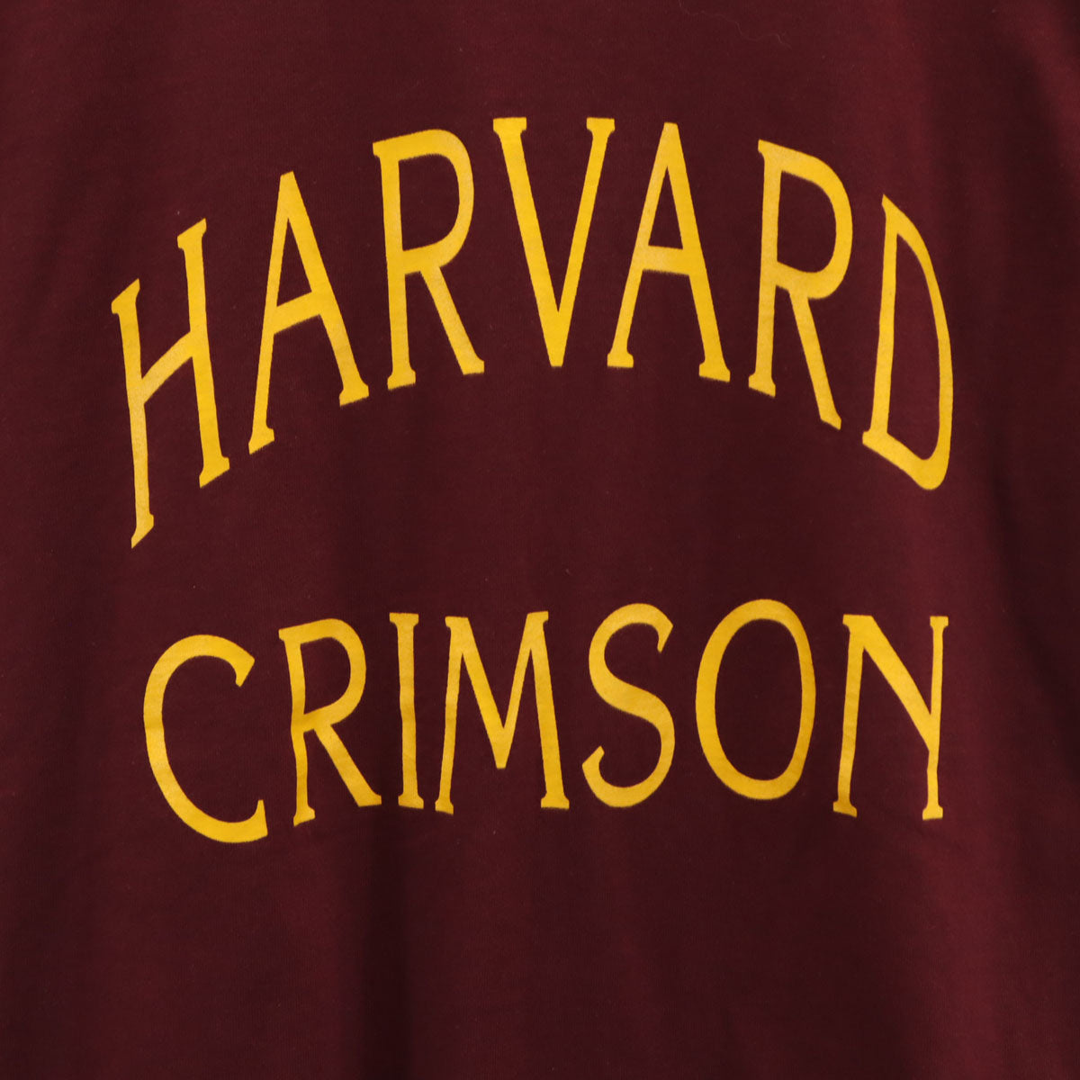 Champion チャンピオン 80s USA製 ヴィンテージ トリコタグ 半袖 Tシャツ M ボルドー系 レディース