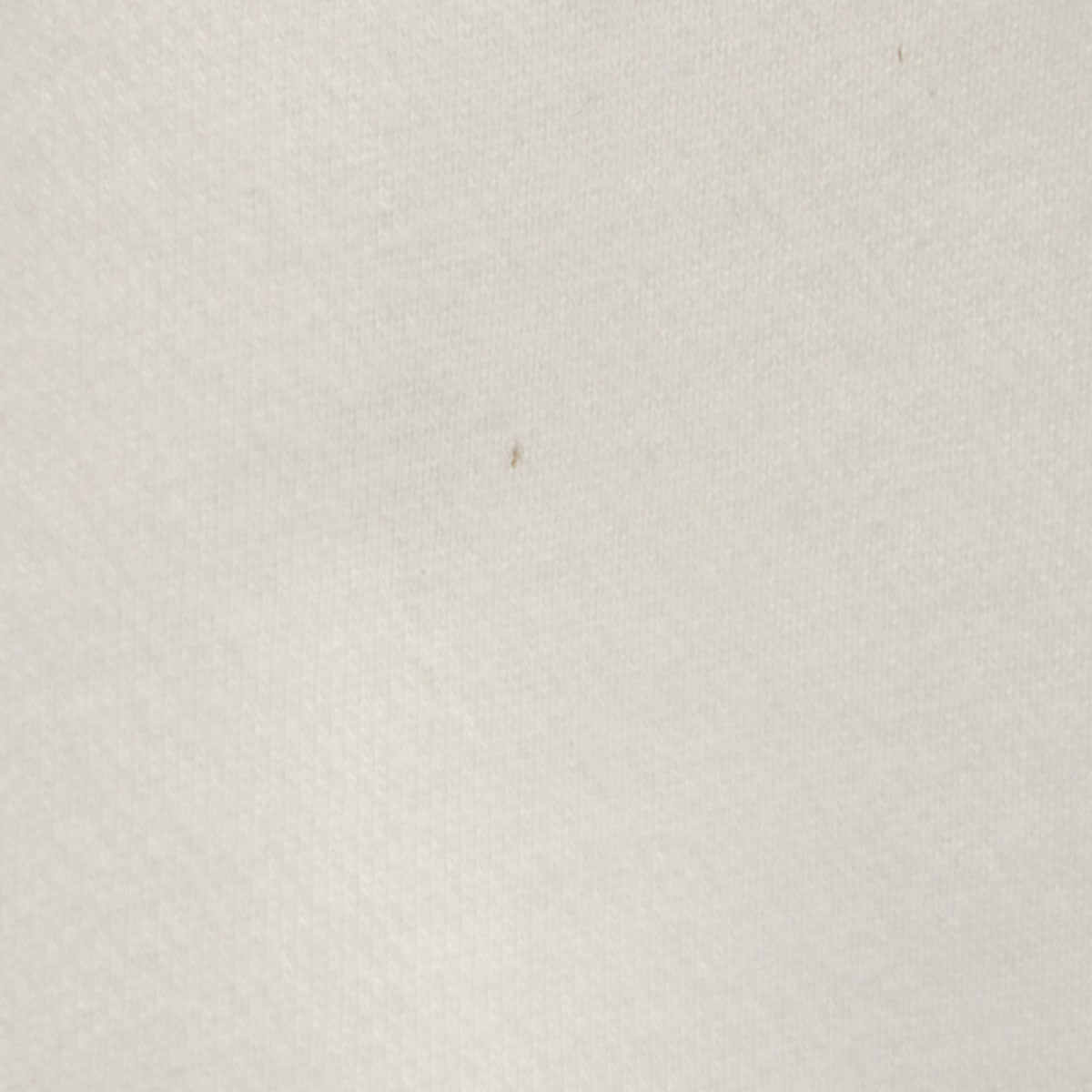 Champion チャンピオン 90s オールド 長袖 スウェット Vネック トレーナー L ホワイト 裏起毛 レディース