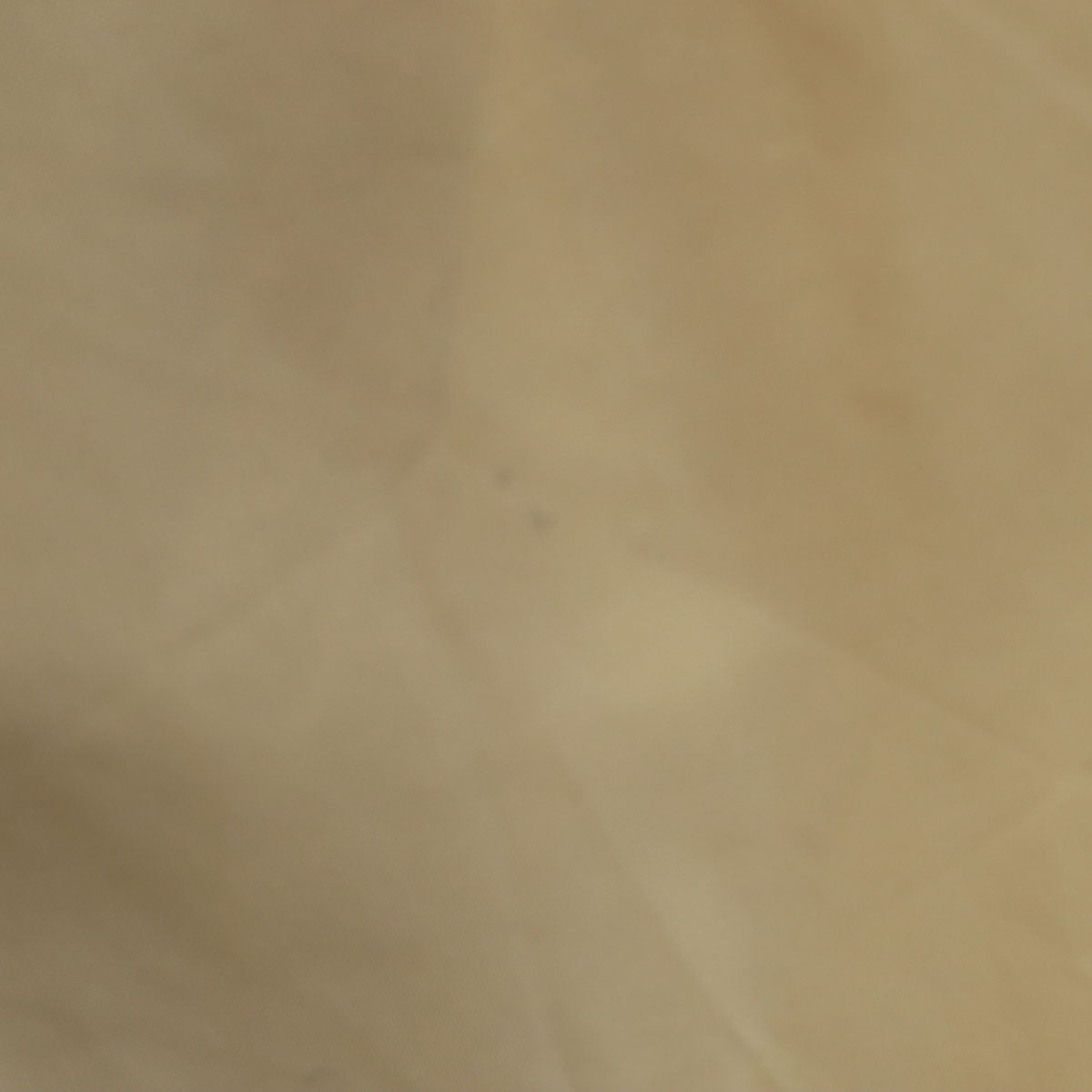 IZOD LACOSTE アイゾッドラコステ 70s ヴィンテージ 糸巻きタグ 長袖 ナイロンジャケット M ベージュ系 メンズ