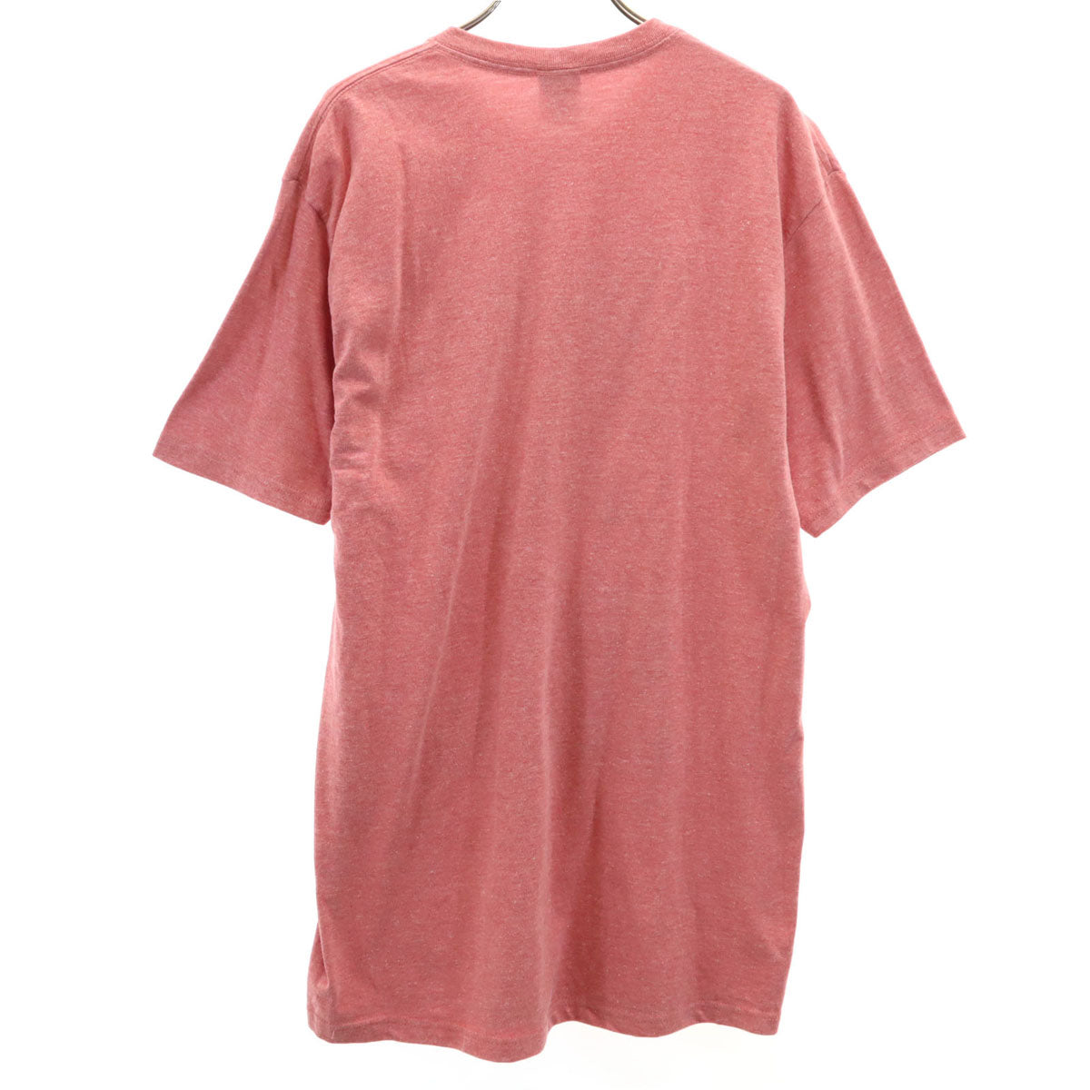 STUSSY ステューシー フォトプリント 半袖 Tシャツ L レッド系 メンズ