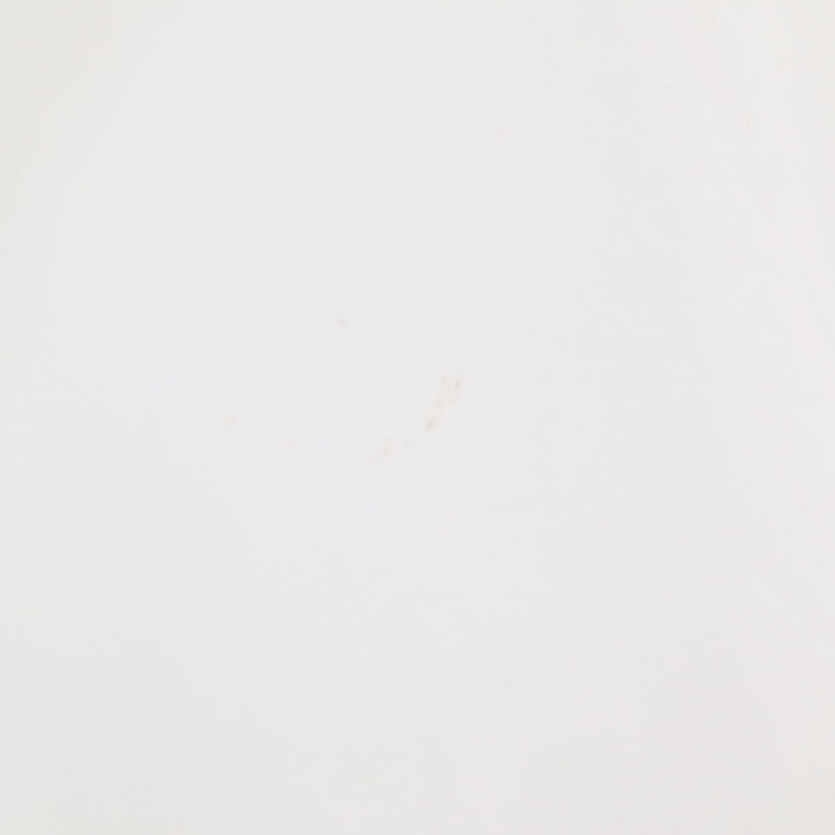 Dior ディオール 長袖 シャツ 42 ホワイト系 メンズ