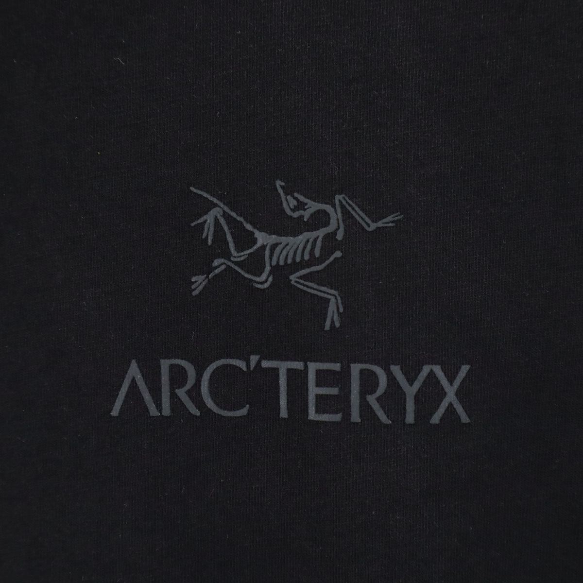ARC'TERYX アークテリクス 半袖 エンブレム Tシャツ M ブラック アウトドア メンズ