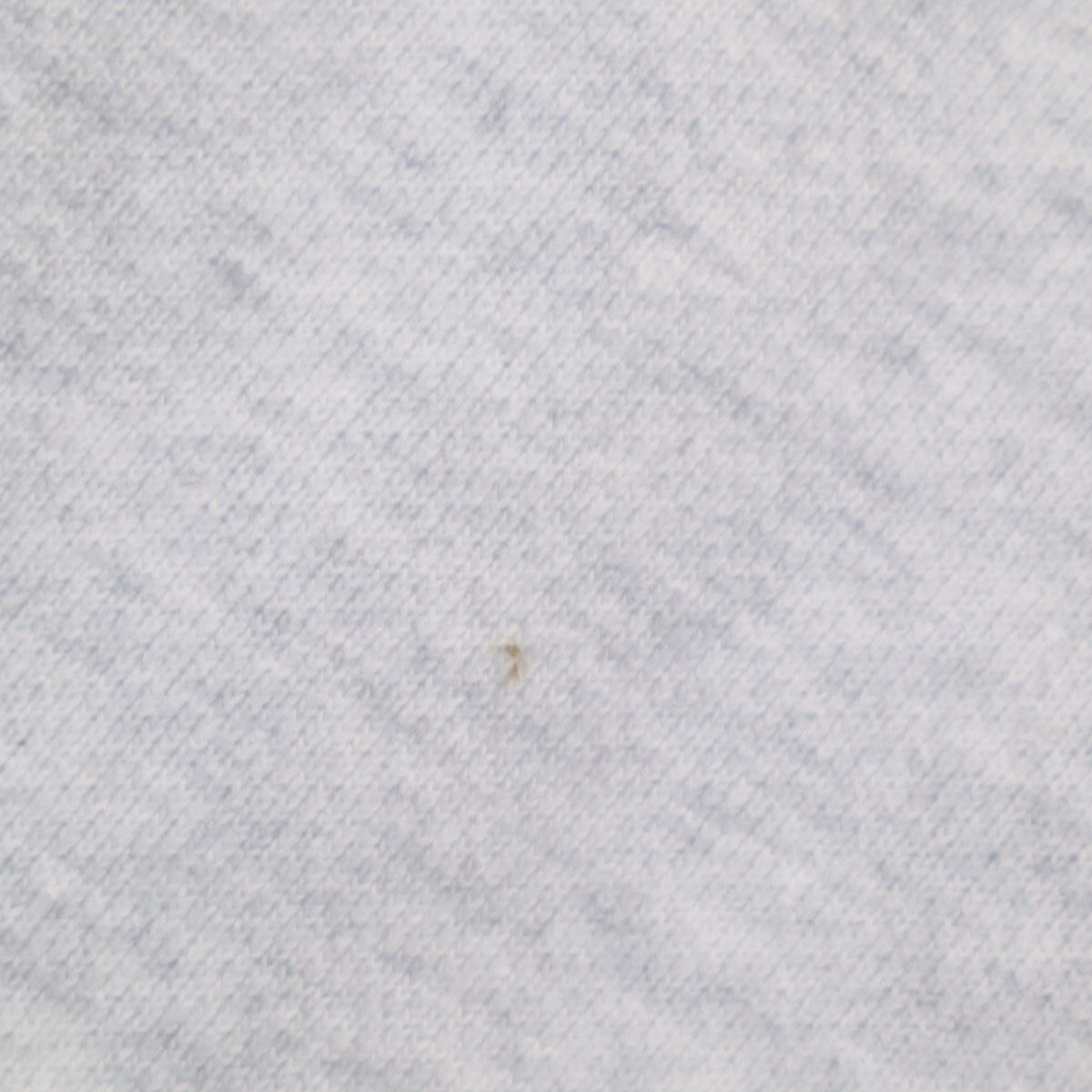 XLARGE エクストララージ 2PAC 長袖 トレーナー M ライトグレー メンズ