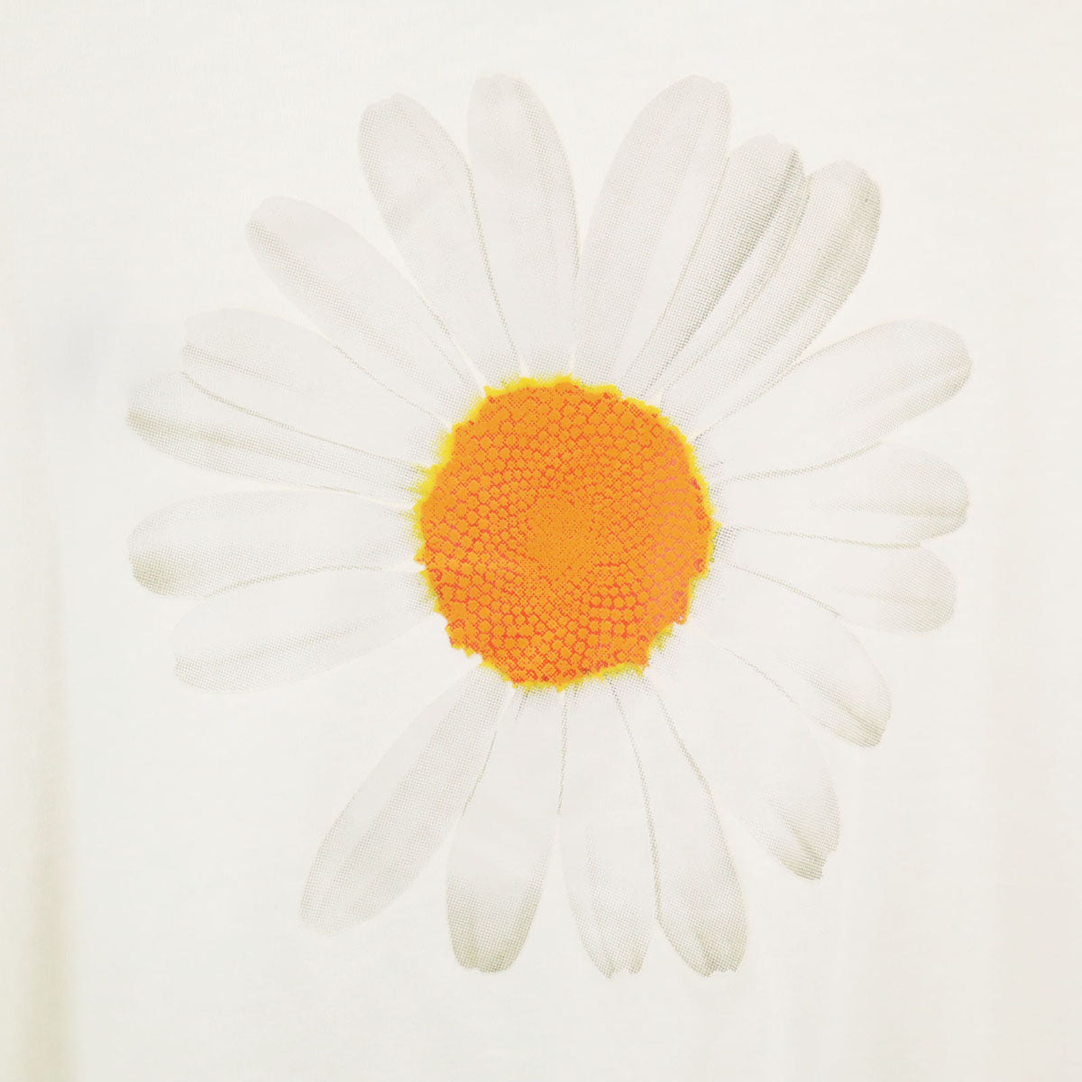 NIKE ナイキ PEACEMINUSONE PMO ピースマイナスワン ピーエムオー コラボ バックプリント デイジー 長袖 Tシャツ M ホワイト G-Dragon ロンT メンズ