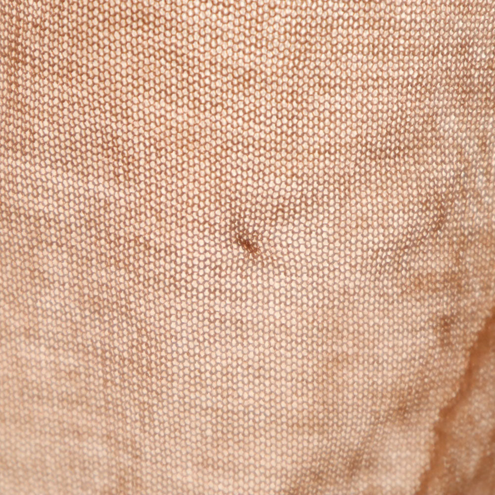 CELINE セリーヌ 長袖 レース カットソー S オレンジ レディース