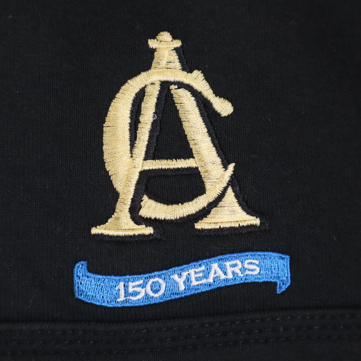 Carhartt カーハート 100617 バック企業モノ刺繍 長袖 ハーフジップ スウェットパーカー XL ブラック 裏起毛 メンズ