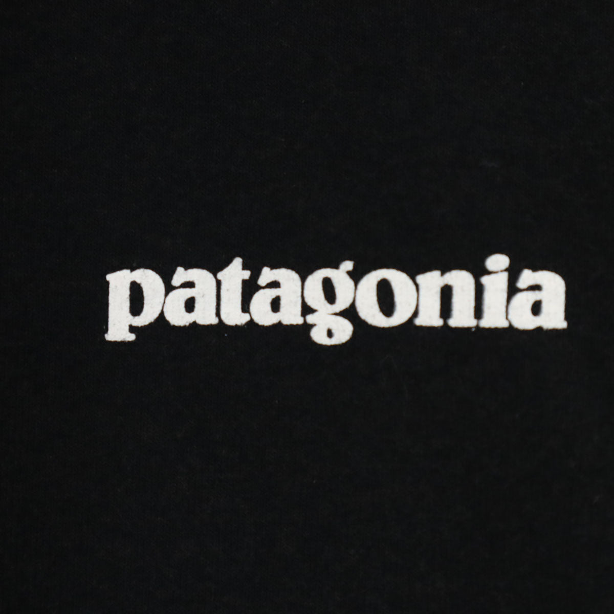 patagonia パタゴニア アウトドア STY39566FA19 長袖 スウェットパーカー L ブラック系 レディース