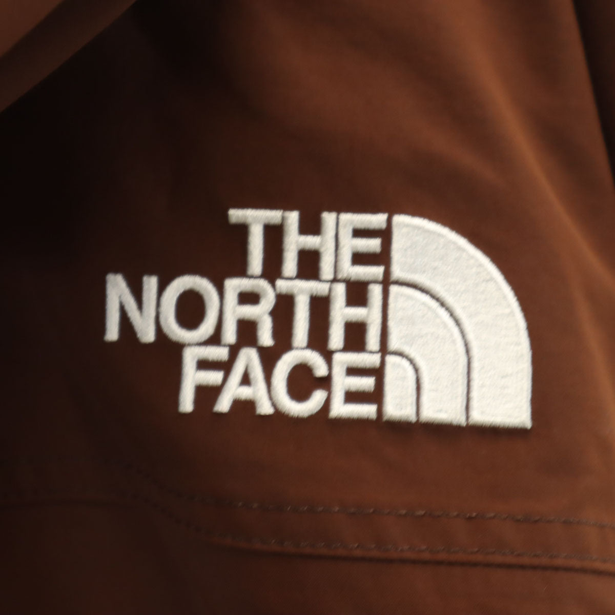 THE NORTH FACE ノースフェイス マウンテンライト ジャケット L ブラウン GORE-TEX アウトドア NP62236 メンズ