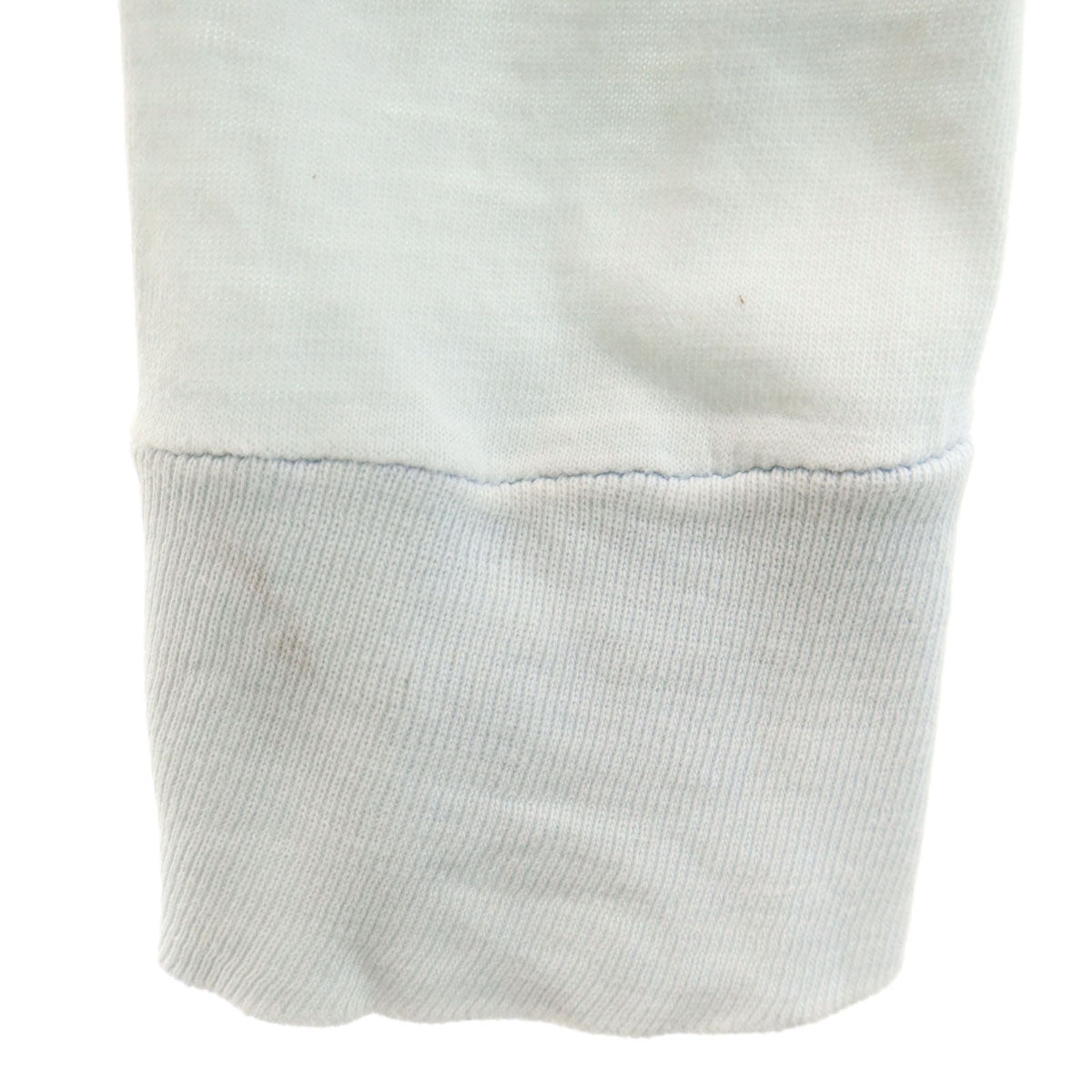 SIGNAL シグナル 90s USA製 オールド 浮世絵 バックプリント 長袖 シングルステッチ Tシャツ M 水色 ロンT 鳥 メンズ