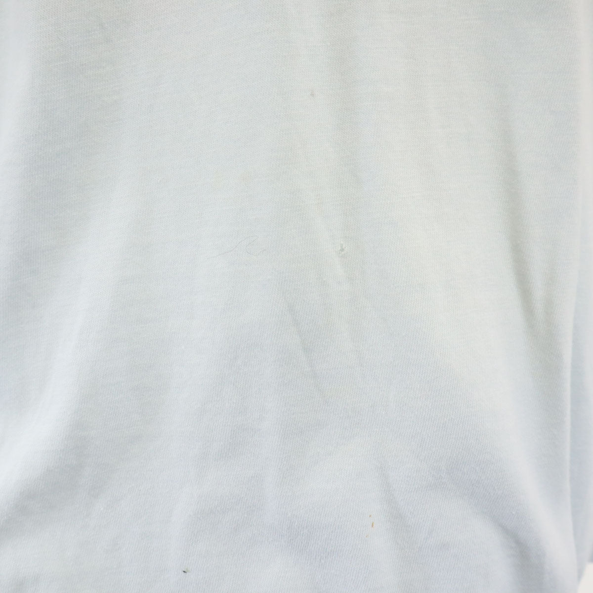 SIGNAL シグナル 90s USA製 オールド 浮世絵 バックプリント 長袖 シングルステッチ Tシャツ M 水色 ロンT 鳥 メンズ