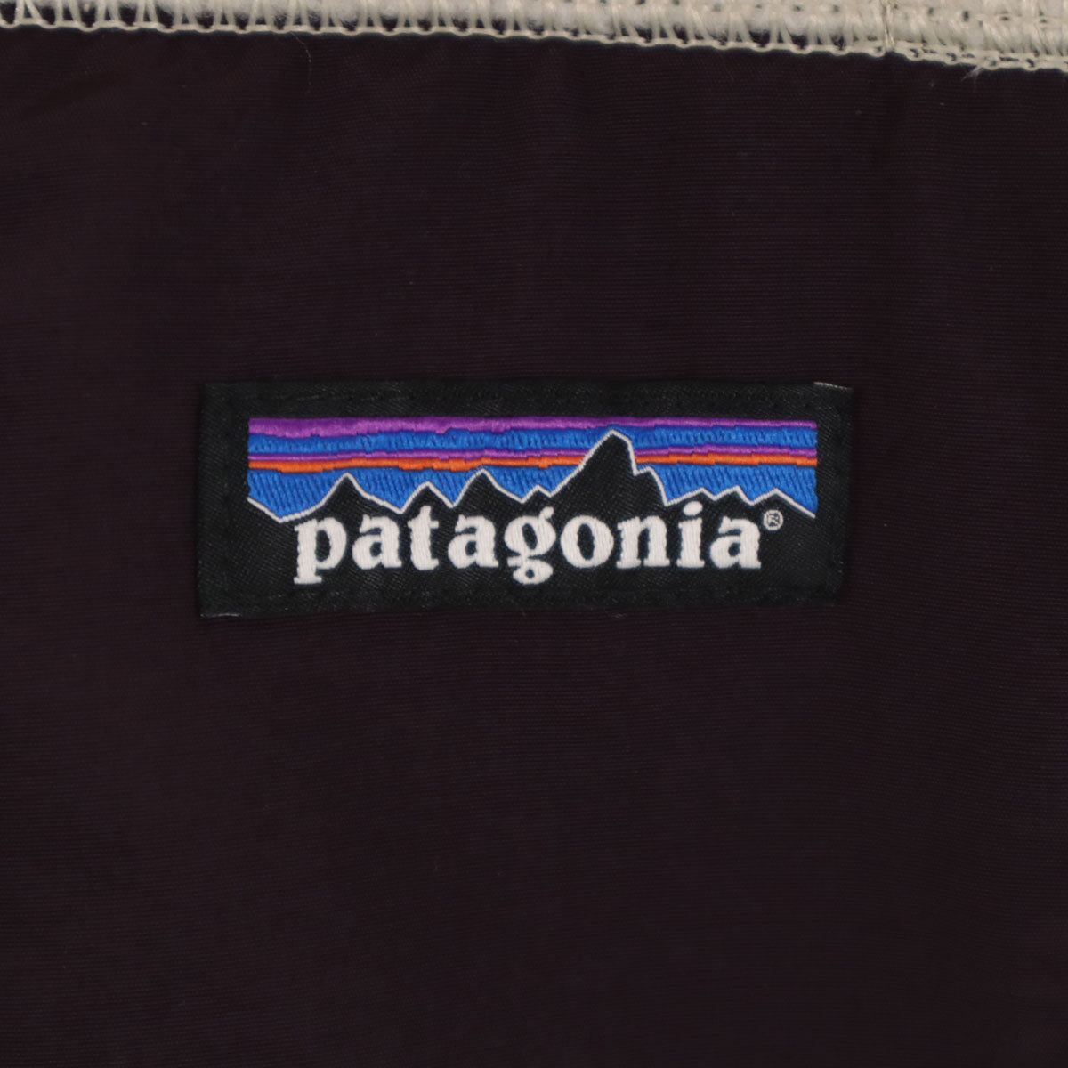 patagonia パタゴニア 2023AW Classic RetroX フリース ベスト M ベージュ系 アウトドア STY23048FA23 メンズ