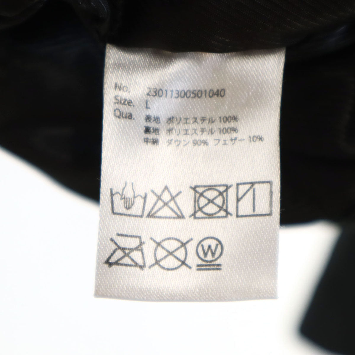 Phenix プラスフェニックス GORE-TEX ダウンジャケット L ブラック アウトドア メンズ