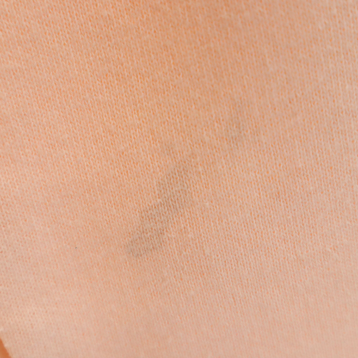 FRUIT OF THE LOOM フルーツオブザルーム 90s USA製 オールド 風と共に去りぬ プリント 長袖 スウェット トレーナー S ピンク Gone With the Wind 裏起毛 メンズ