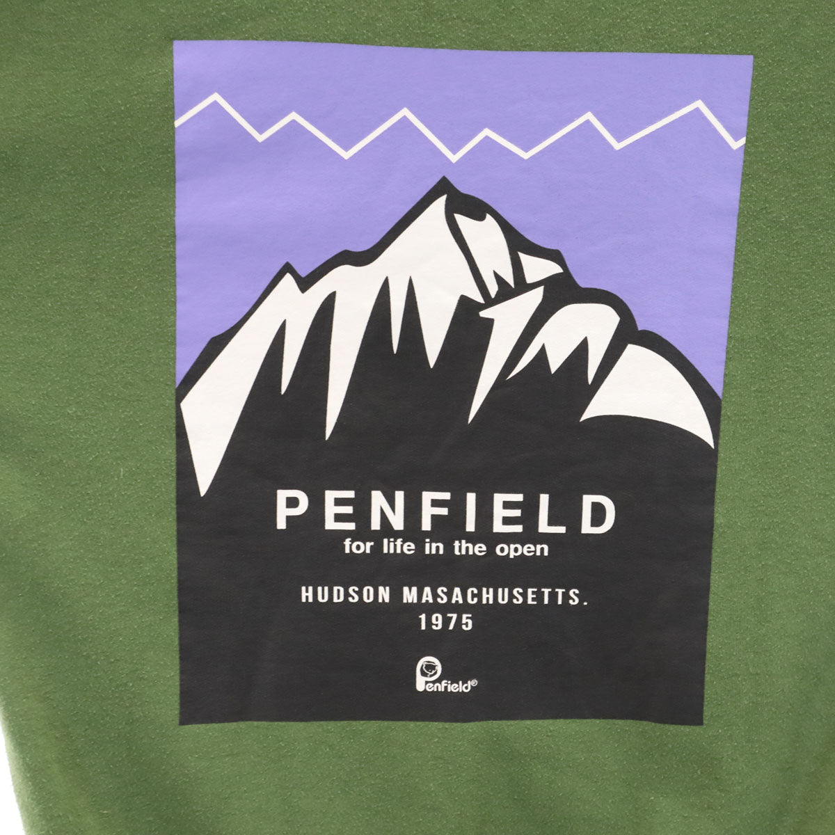 PEN FIELD ペンフィールド バックプリント 長袖 スウェット トレーナー M グリーン 裏起毛 メンズ