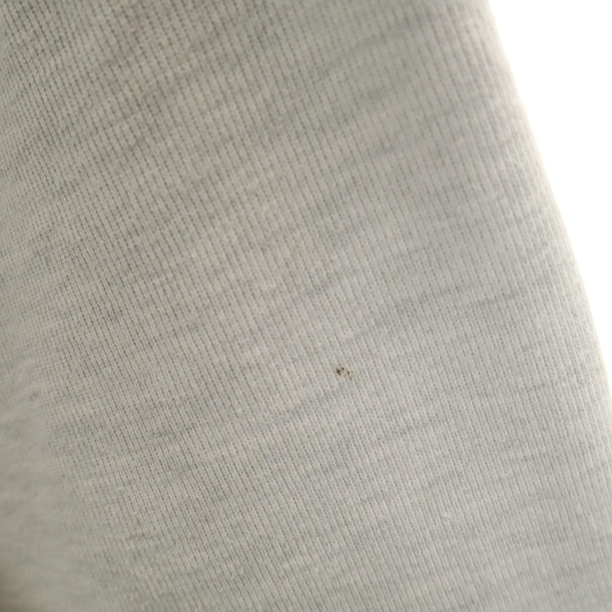 Champion チャンピオン 00s プレミアム 長袖 スウェット XL グレー トレーナー 裏起毛 メンズ