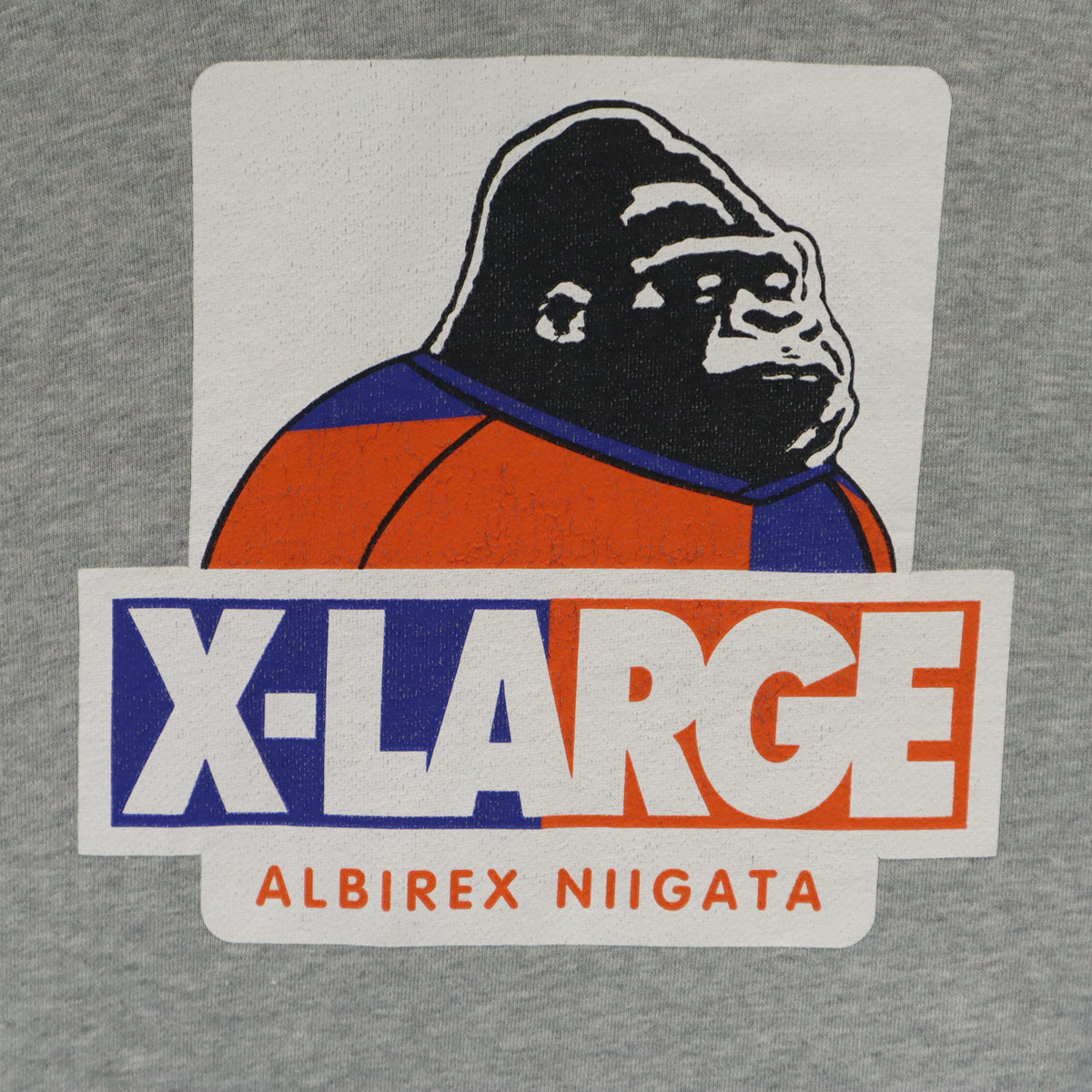 XLARGE エクストララージ 長袖 パーカー L グレー メンズ