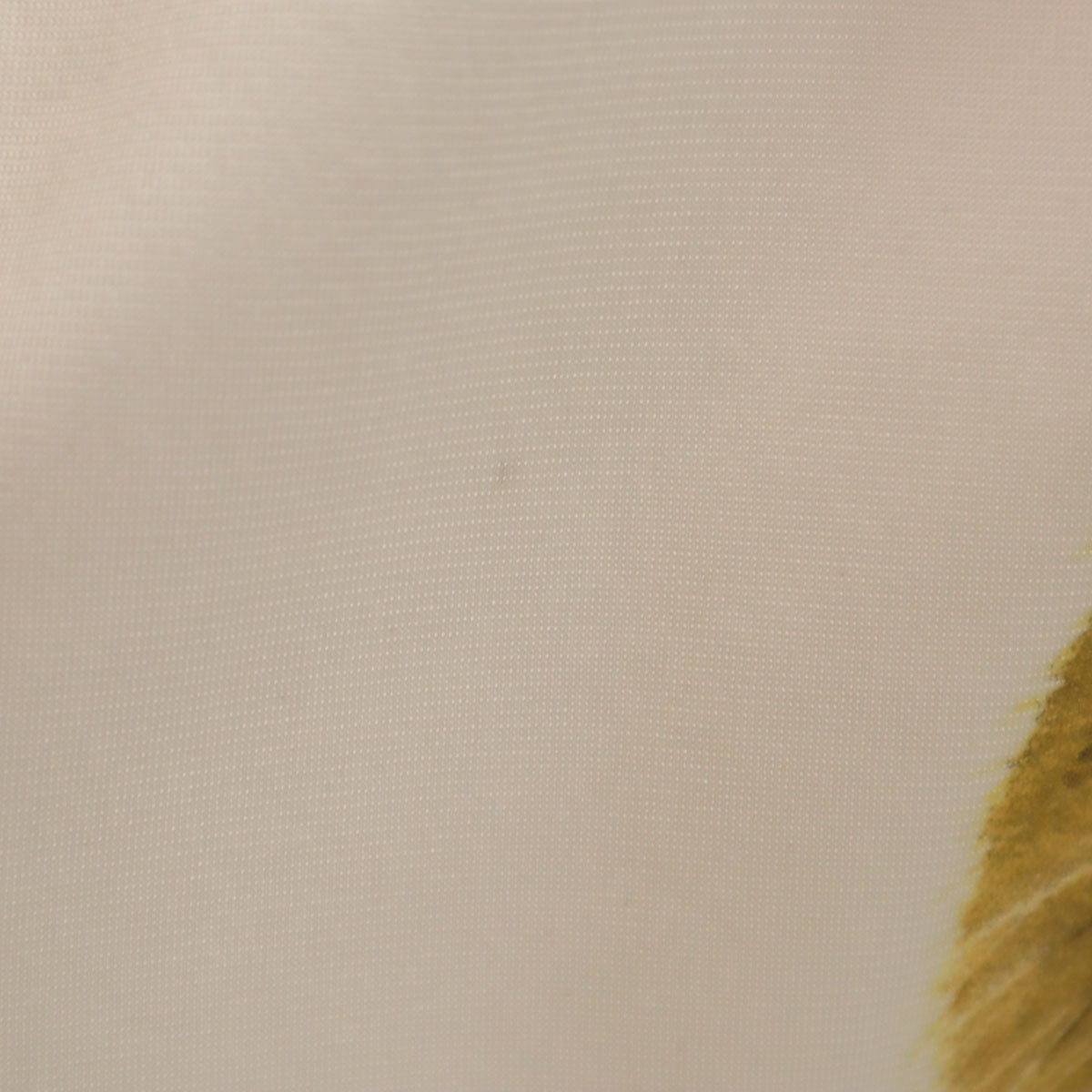 adidas Originals アディダスオリジナルス イングランド代表 ライオン トラックジャケット S ホワイト ジャージ メンズ