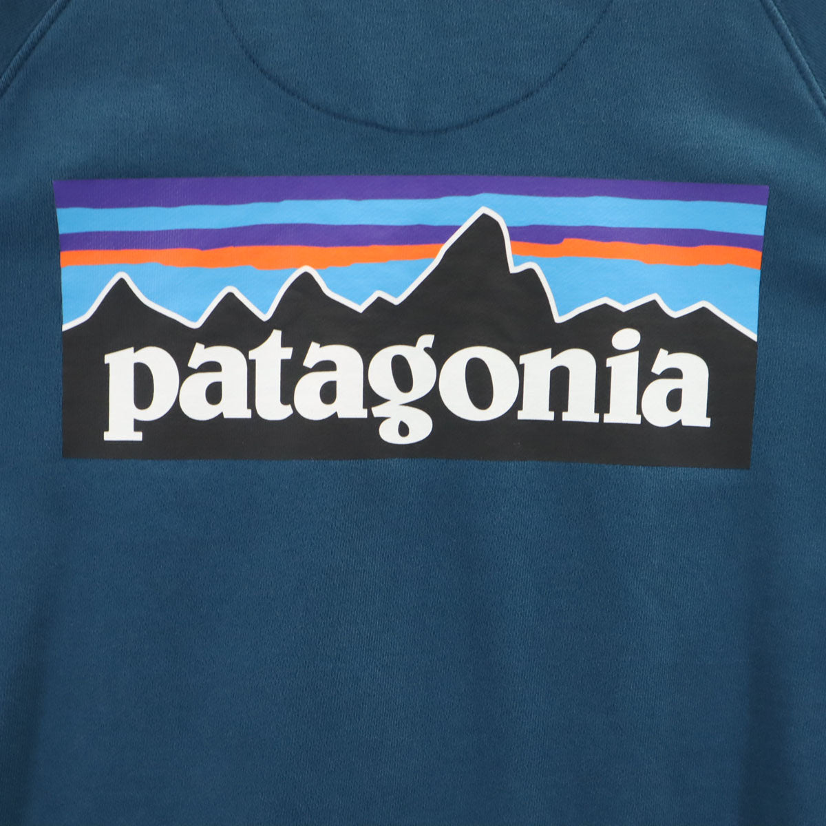 patagonia パタゴニア バックロゴ 長袖 スウェット トレーナー M 青紺 39603FA20 アウトドア メンズ