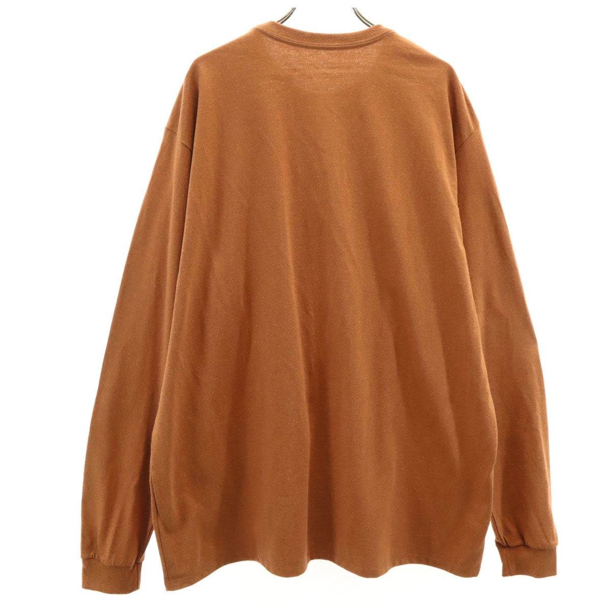 未使用 patagonia パタゴニア Eat Local Goat 長袖 レスポンシビリティー Tシャツ L ブラウン 38513SP20 アウトドア ロンT メンズ