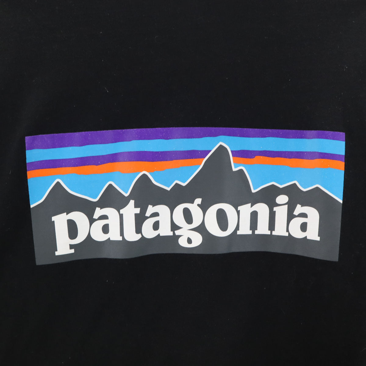 patagonia パタゴニア バックロゴ 長袖 Tシャツ XL ブラック 38518FA20 アウトドア ロンT メンズ
