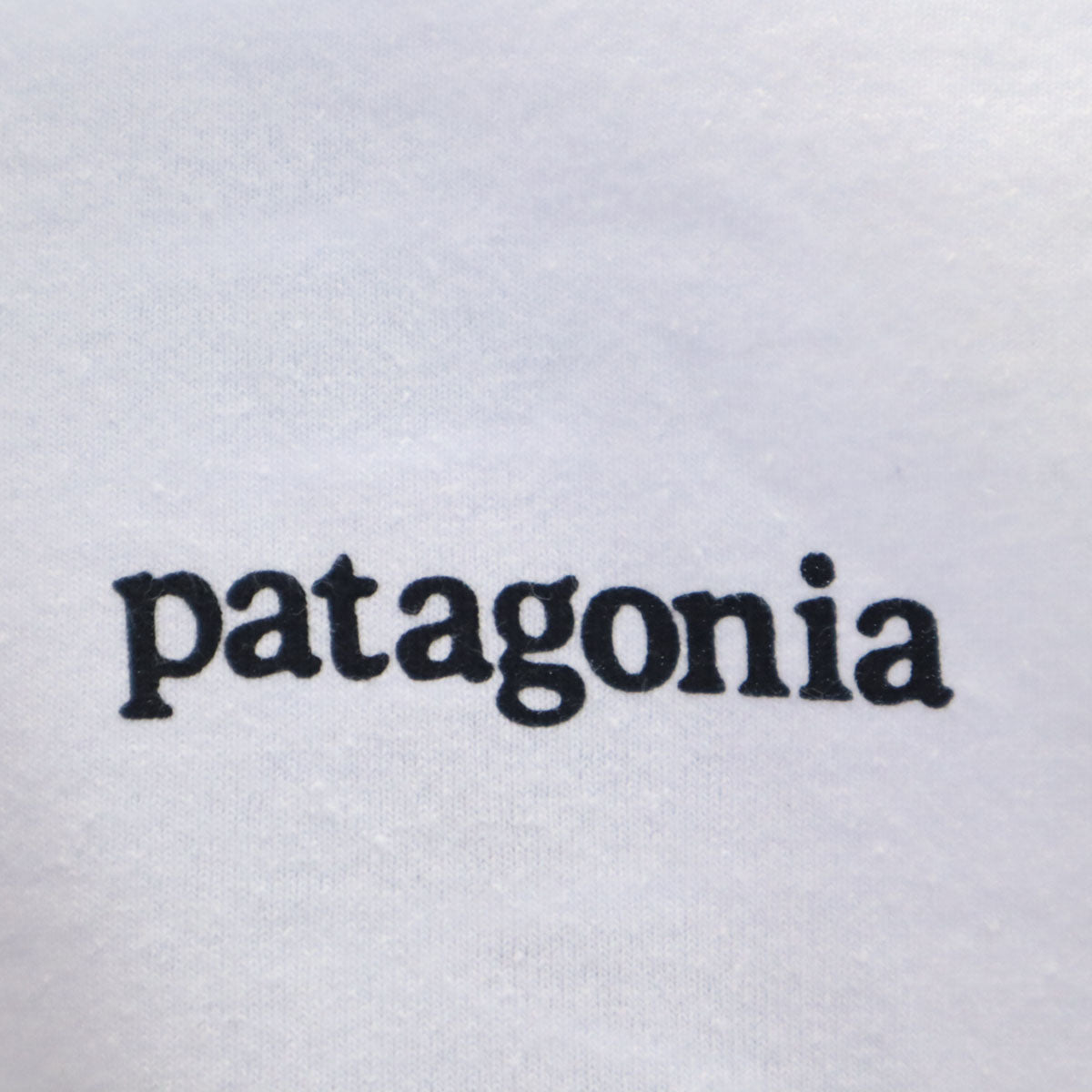 美品 patagonia パタゴニア バックプリント 長袖 Tシャツ M ブルーホワイト 38517SP22 アウトドア ロンT メンズ