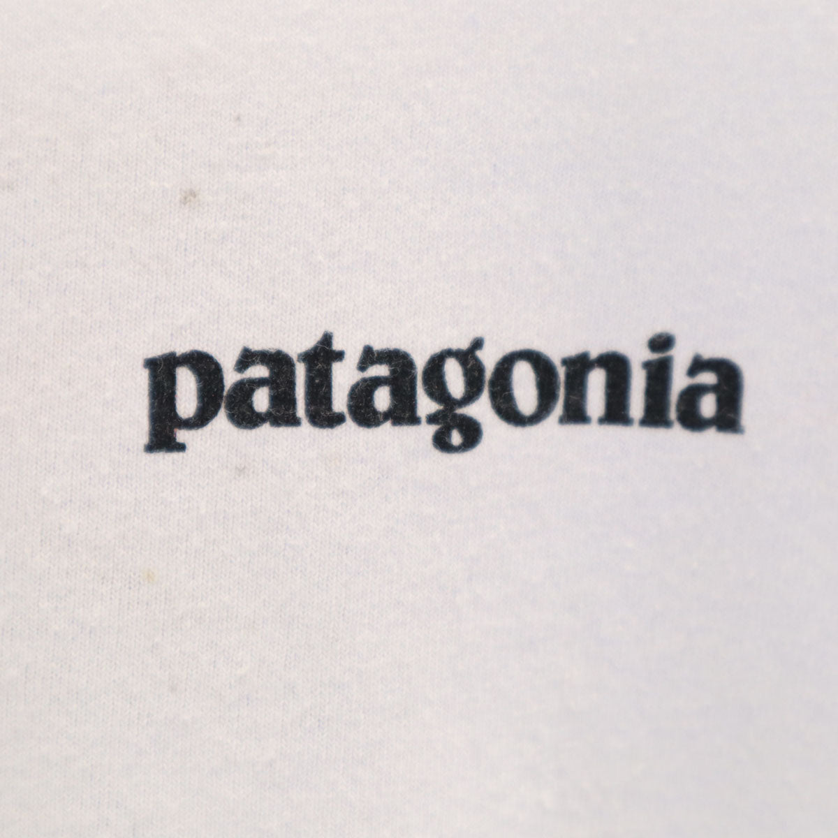 patagonia パタゴニア バックロゴ 半袖 Tシャツ S ブルーホワイト 38504SP21 アウトドア メンズ